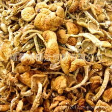 熱銷福建農(nóng)產(chǎn)品批發(fā) 古田食用菌與滑子菇的商機探索